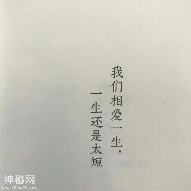 短句：你不需要鸡汤，你需要巴掌-1.jpg