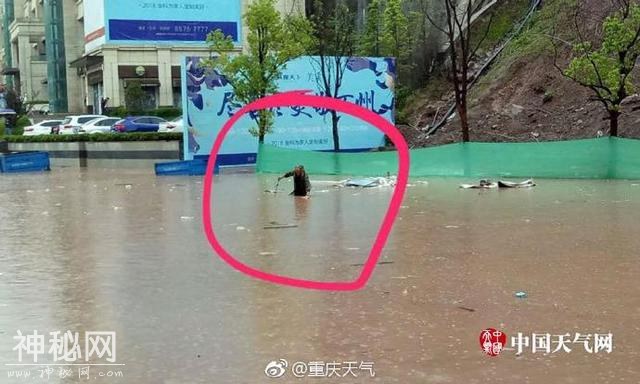 暴雨袭击山城 部分区县遭遇地质灾害-1.jpg