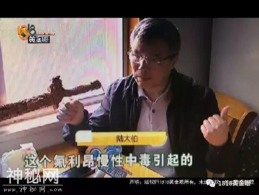 姑娘得“怪病”，男朋友也没了，做父亲的怀疑到它身上-13.jpg