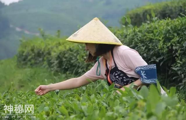 科幻碰撞非遗！咱小镇，将有自己的科幻小说啦-10.jpg