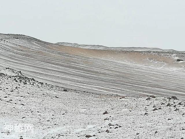 行程1180公里，一辆皮卡车穿越罗布泊大海道-6.jpg