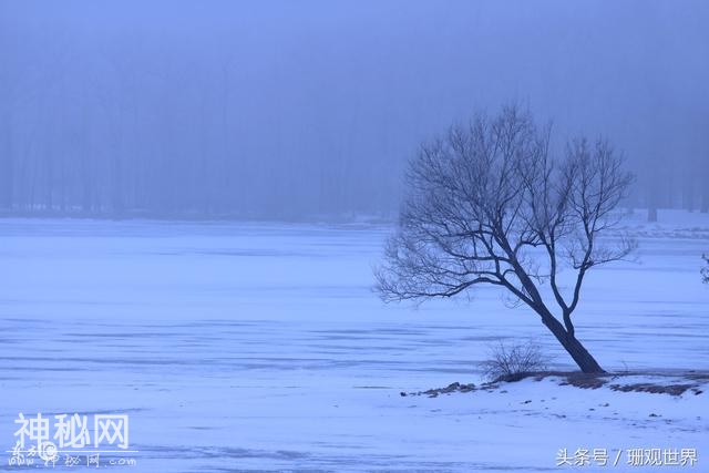 成都：一场来去匆匆的雪，一种刺入骨髓的冷，一些关于春天的想象-4.jpg