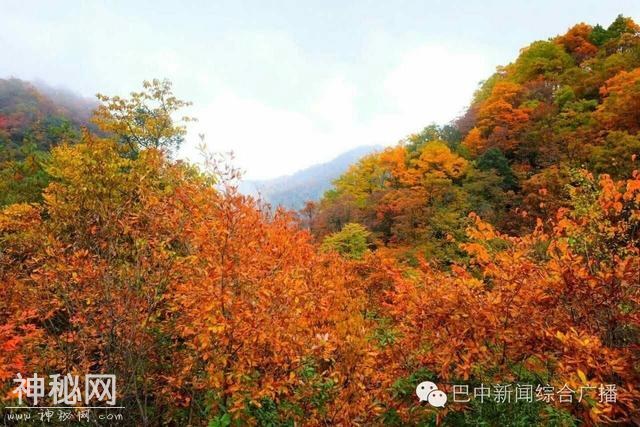 寰宇带你去逛光雾山-1.jpg