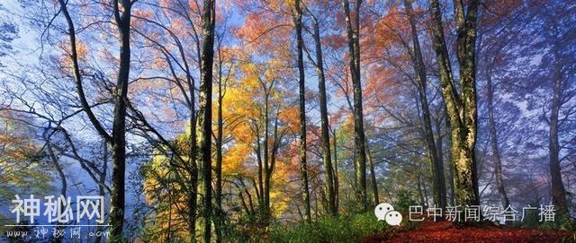 寰宇带你去逛光雾山-4.jpg