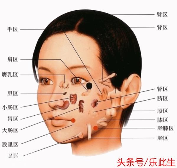 人体器官工作表 得让爸妈好好注意身体了 从今天一起来养生-4.jpg