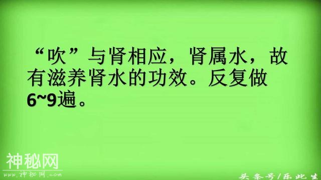 人体器官工作表 得让爸妈好好注意身体了 从今天一起来养生-17.jpg