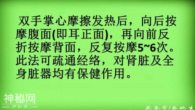 人体器官工作表 得让爸妈好好注意身体了 从今天一起来养生-13.jpg