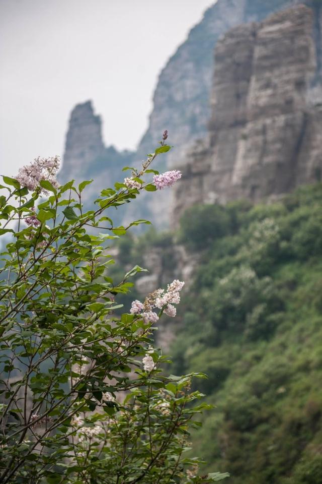 涞源白石山国家地质公园-27.jpg