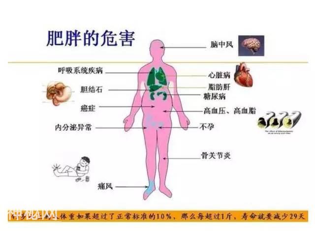 身体信号，告诉你身体垃圾已经超标！-4.jpg