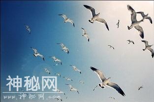 万千寰宇，追寻你的真容-2.jpg