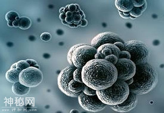 极强悍细菌——勇者菌 竟能活在核燃料环境-2.jpg