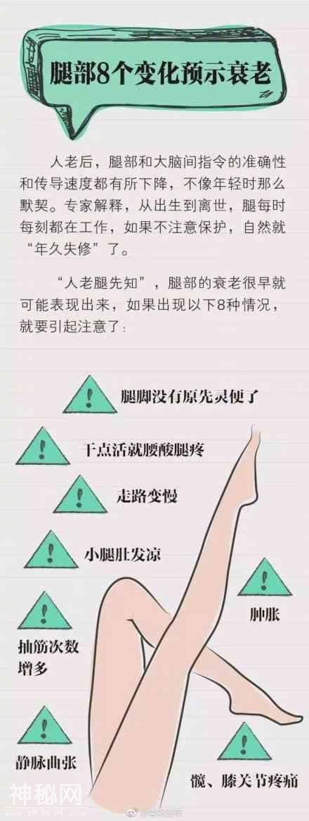 养好人体的“第二心脏”——腿！专家推荐5个养腿操-6.jpg