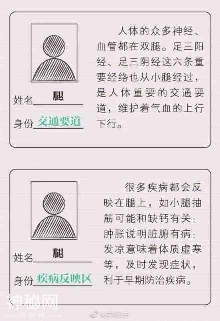 养好人体的“第二心脏”——腿！专家推荐5个养腿操-3.jpg