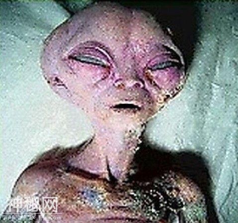 西伯利亚现疑似UFO 解密UFO：外星人真的存在吗?-1.jpg