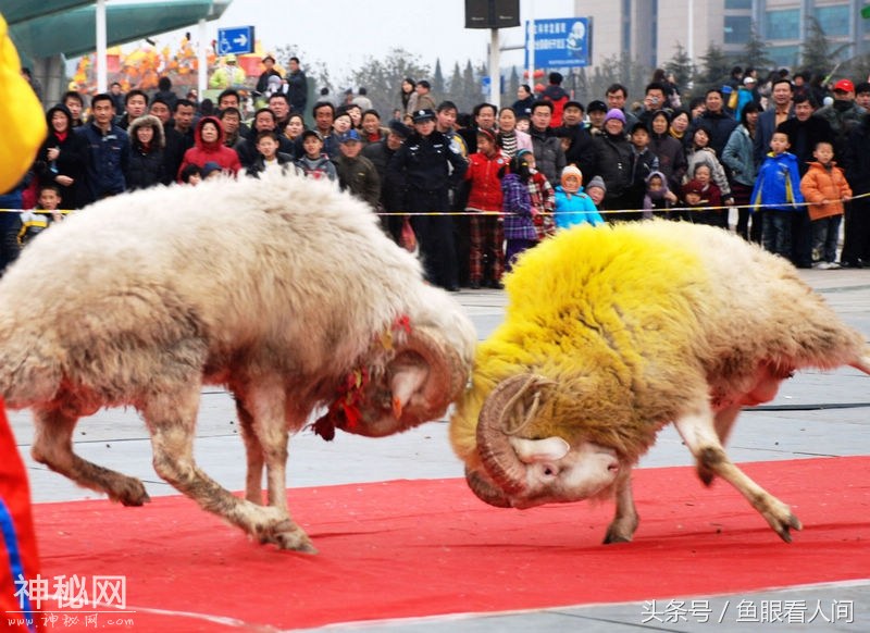 过大年民俗表演多 奇人奇事亦惊奇-2.jpg