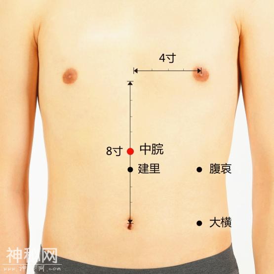 艾灸用上这八个穴位，保你健康一整年-3.jpg