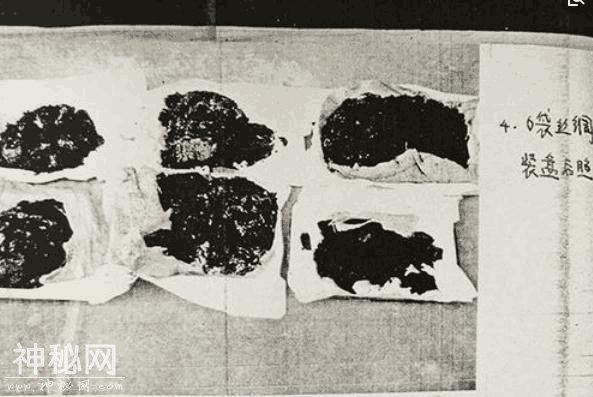 揭秘中国第一古尸案，主犯逃亡23年后被抓获-5.jpg