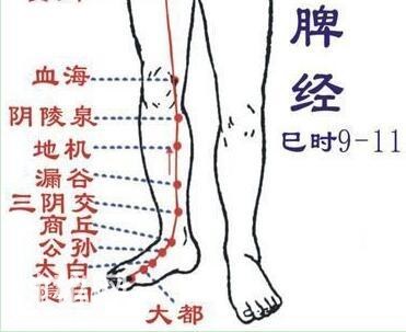 脾经常畅通——重病、急病、怪病难上身-4.jpg