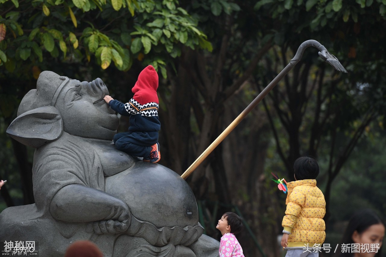 我爬，我爬爬爬，我就要爬你能怎么着？这些旅客个个身怀“绝技”-2.jpg