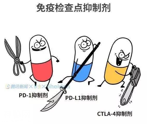 癌症不再是绝症！最新诺贝尔奖告诉你有救了！-8.jpg