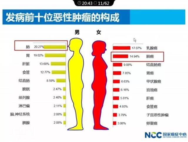 癌症不再是绝症！最新诺贝尔奖告诉你有救了！-3.jpg