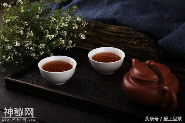 喝茶还是喝细菌？-13.jpg