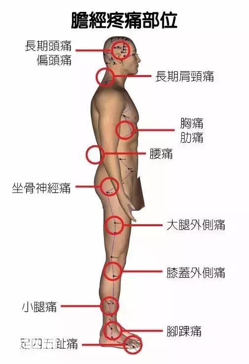 身体疼痛对照表-3.jpg