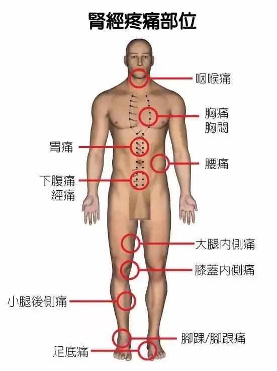 身体疼痛对照表-2.jpg