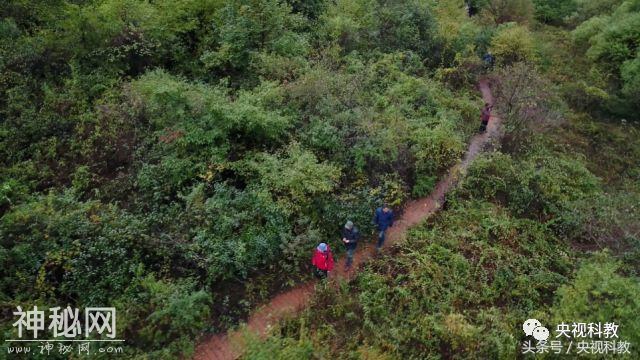 地理中国｜崆峒山为何会出现诸多奇特现象？-14.jpg