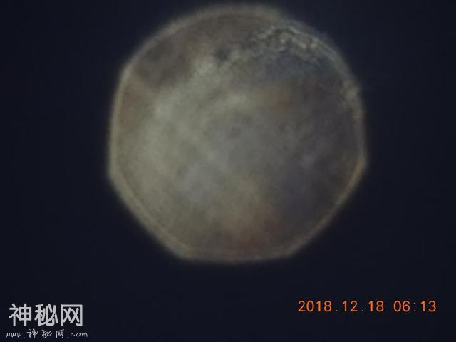 今早不明发光体现身杭州！UFO？外星人？其实我可能是金星啦！-3.jpg