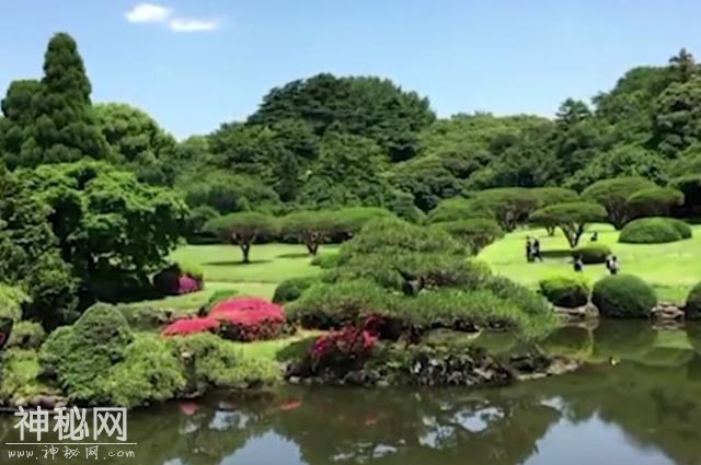 地球上罕见的自然现象，蓝色的火山熔岩，你一定没有见过-8.jpg