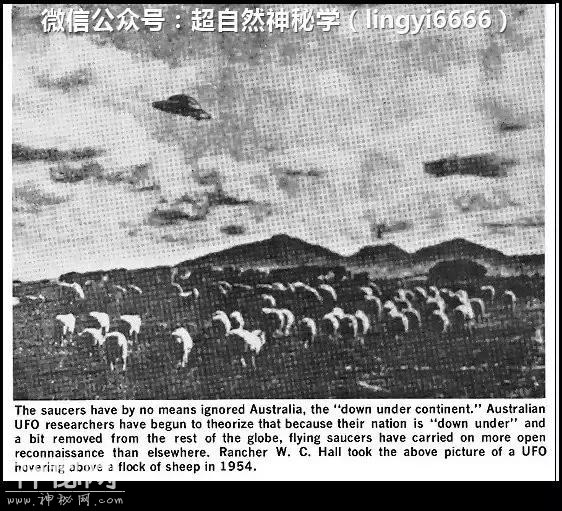 1870-1966年最真实的不明飞行物照片合集-14.jpg