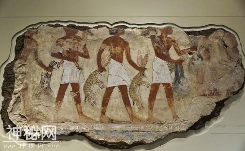 埃及追讨文物的“斗士”，被称“考古界法老”，十年追回3万多件-1.jpg