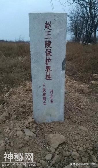 江苏有个地方全国盗墓者都喜欢去，不只古墓多，还有一重要原因-14.jpg