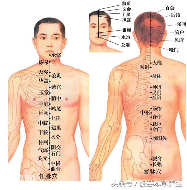 人体各部位的穴位解读，齐了，建议收藏-1.jpg