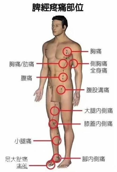 6张人体脏腑疼痛区高清图，一看就懂，记住了你就是家庭医生！-2.jpg