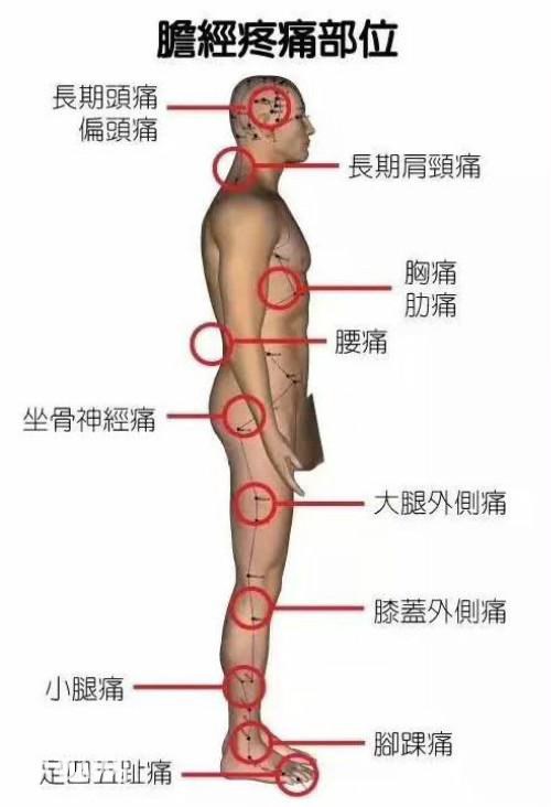 6张人体脏腑疼痛区高清图，一看就懂，记住了你就是家庭医生！-7.jpg