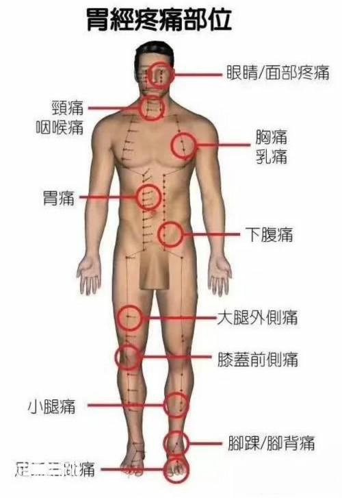 6张人体脏腑疼痛区高清图，一看就懂，记住了你就是家庭医生！-4.jpg