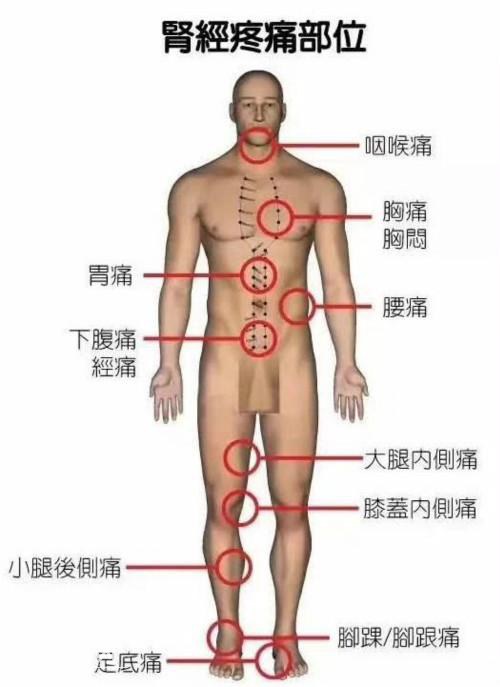 6张人体脏腑疼痛区高清图，一看就懂，记住了你就是家庭医生！-6.jpg