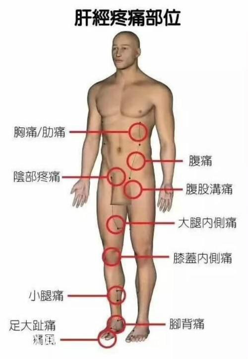 6张人体脏腑疼痛区高清图，一看就懂，记住了你就是家庭医生！-5.jpg