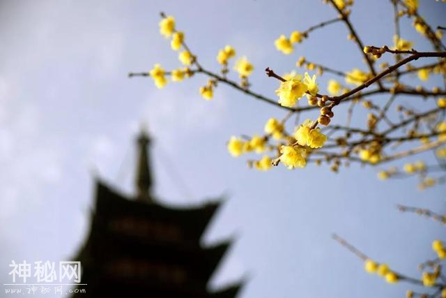 今日小寒｜一年中最冷的日子刚刚开始，这份健康养生提醒请收好-2.jpg