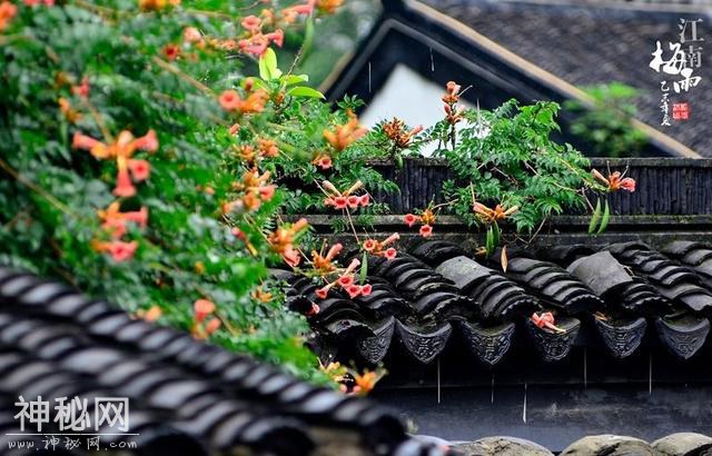 每天了解一种自然现象-梅雨-8.jpg