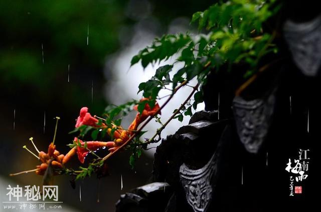 每天了解一种自然现象-梅雨-4.jpg