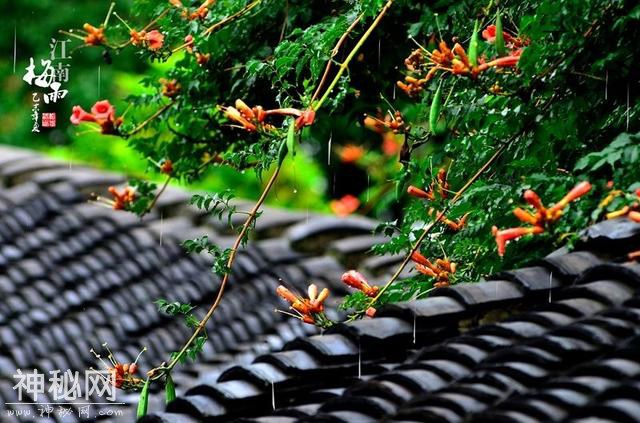 每天了解一种自然现象-梅雨-6.jpg