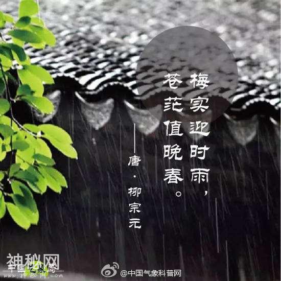 每天了解一种自然现象-梅雨-18.jpg