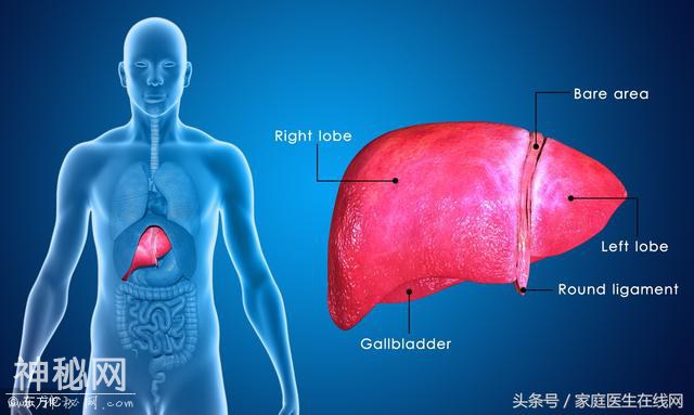身体出现3个现象，预示肝脏正在逐渐坏掉，你中招了吗？-3.jpg