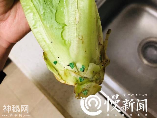 超市买的莴笋根部发现绿色颗粒 专家：杀蜗牛农药 过量摄入伤身体-1.jpg