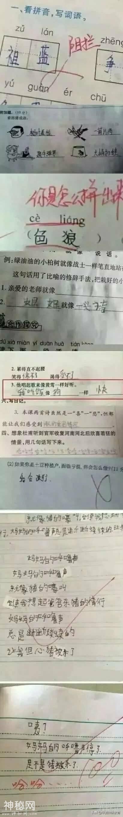 有哪些让人笑到肚子疼的搞笑图片？-2.jpg