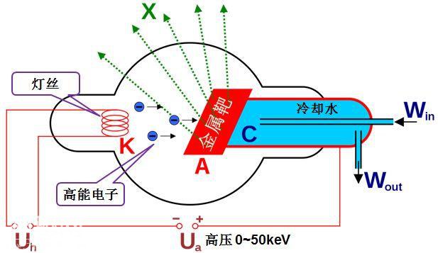 你看这些“UFO”，它们又大又圆，不如我们...-10.jpg