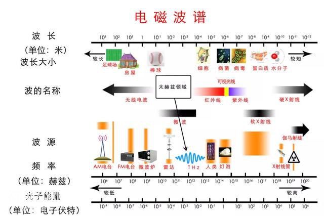 你看这些“UFO”，它们又大又圆，不如我们...-9.jpg